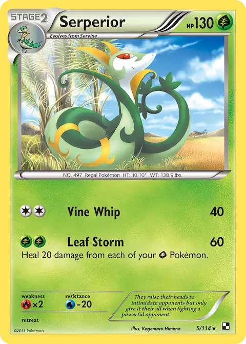 Serperior, Black & White 5/114