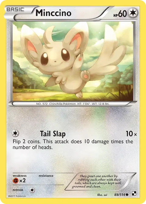 Minccino, Black & White 88/114