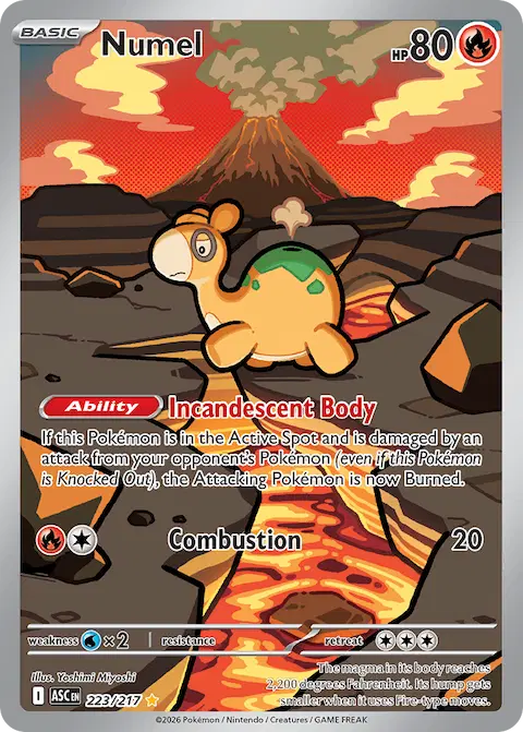 Numel, Ascended Heroes 223/217
