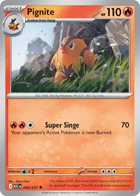Pignite, Ascended Heroes 030/217