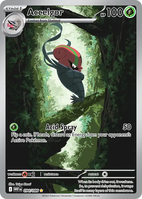 Accelgor, White Flare 094/086