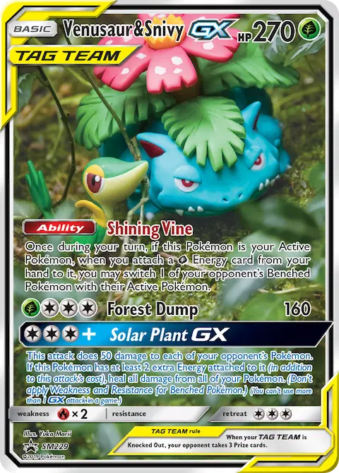 Venusaur & Snivy GX, SM Black Star Promos SM229
