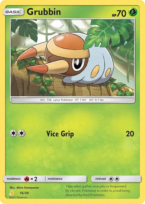 Grubbin, SM trainer Kit (Alolan Raichu) 16/30