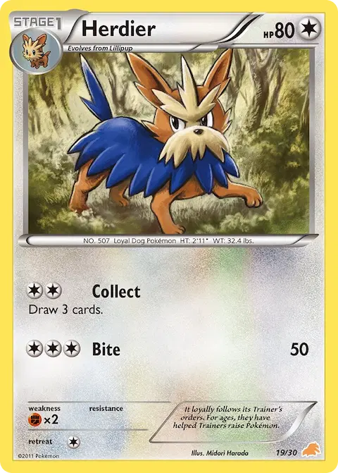 Herdier, BW trainer Kit (Excadrill) 19/30