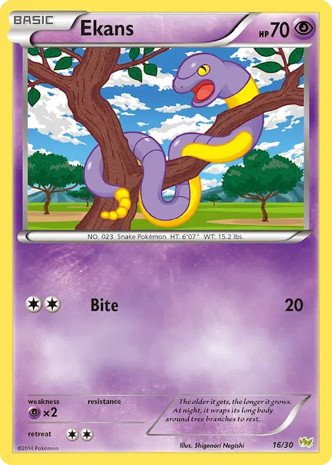 Ekans, XY trainer Kit (Noivern) 16/30