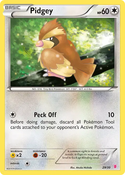 Pidgey, XY trainer Kit (Wigglytuff) 29/30