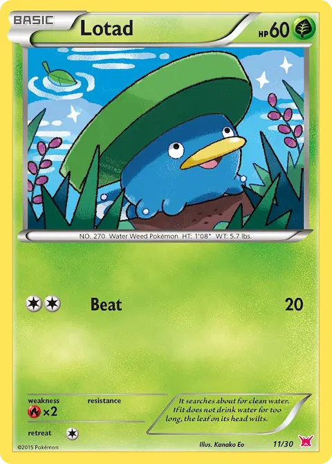 Lotad, XY trainer Kit (Latias) 11/30