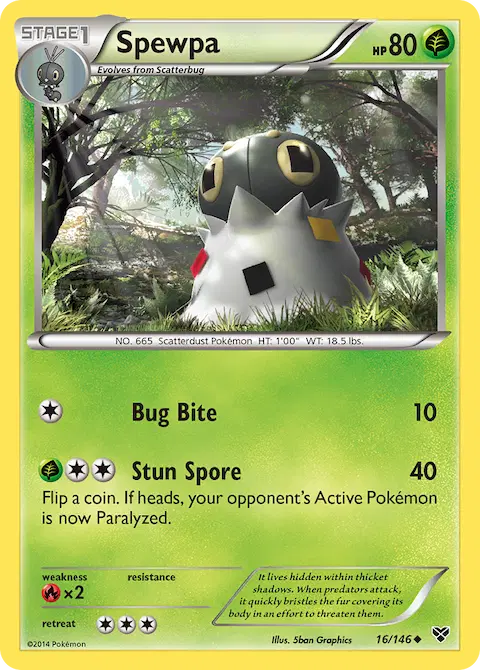 Spewpa, XY 16/146
