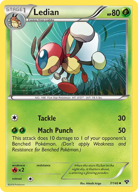 Ledian, XY 7/146