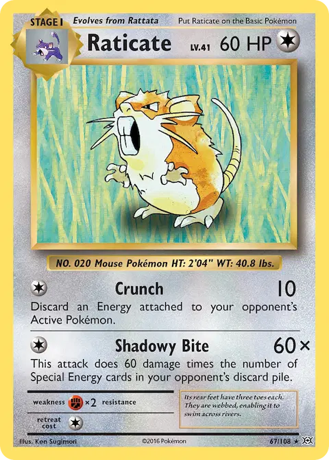 Raticate, Evolutions 67/108