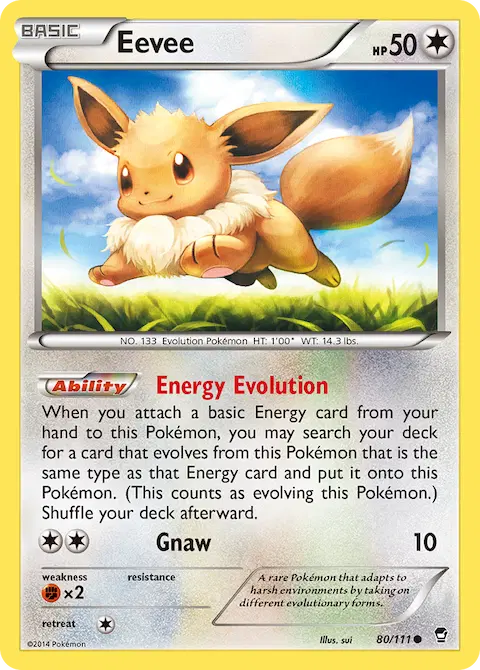 Eevee, Furious Fists 80/111