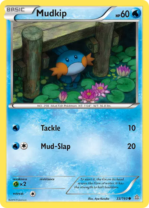 Mudkip, Primal Clash 33/160