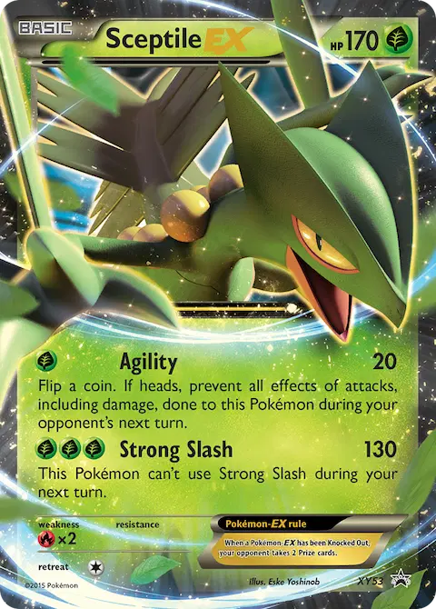 Sceptile EX, XY Black Star Promos XY53