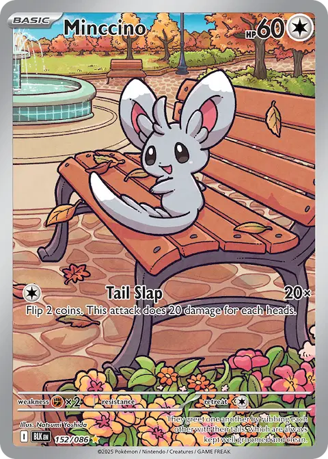 Minccino, Black Bolt 152/086